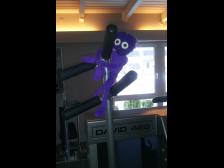 Knut, was machst du denn da?